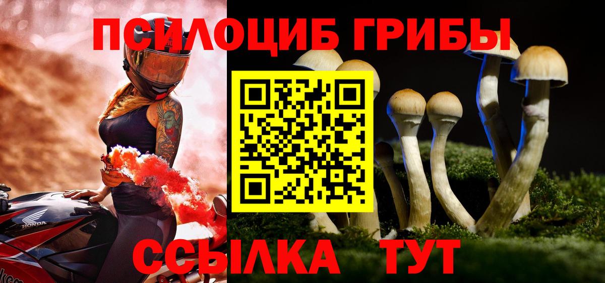 Псилоцибиновые грибы Cubensis  Вход с VPN  Еманжелинск 