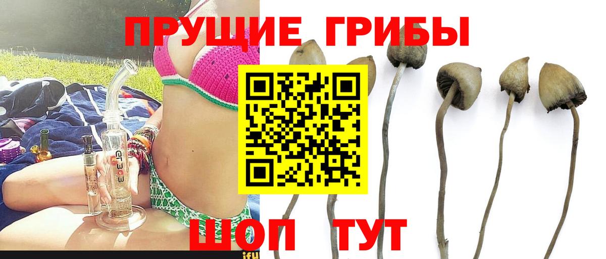 Псилоцибиновые грибы GOLDEN TEACHER Еманжелинск